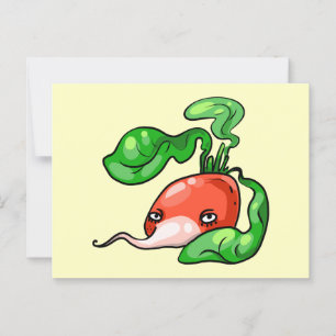 Radieschen radish postcard