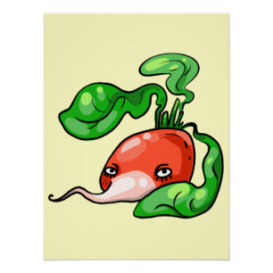 Radieschen radish poster