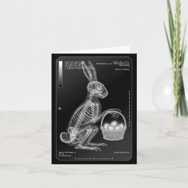 Radiology Nurse Radiologist Funny Easter Bunny Card (Front)