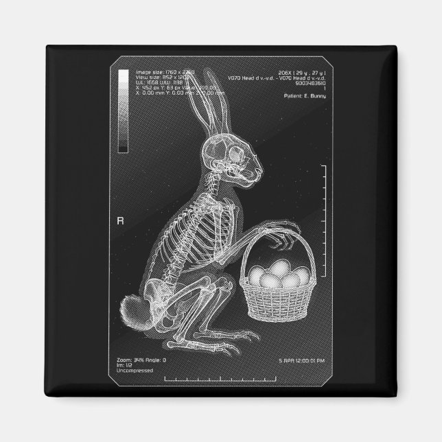 Radiology Nurse Radiologist Funny Easter Bunny Magnet (Front)