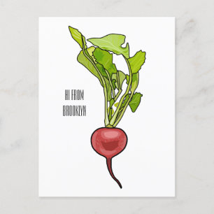 Radish cartoon illustration  postcard