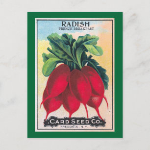 Radish Seed Packet Postcard