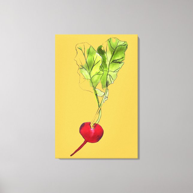 Radish vegetable  watercolour art illustration canvas print (Front)