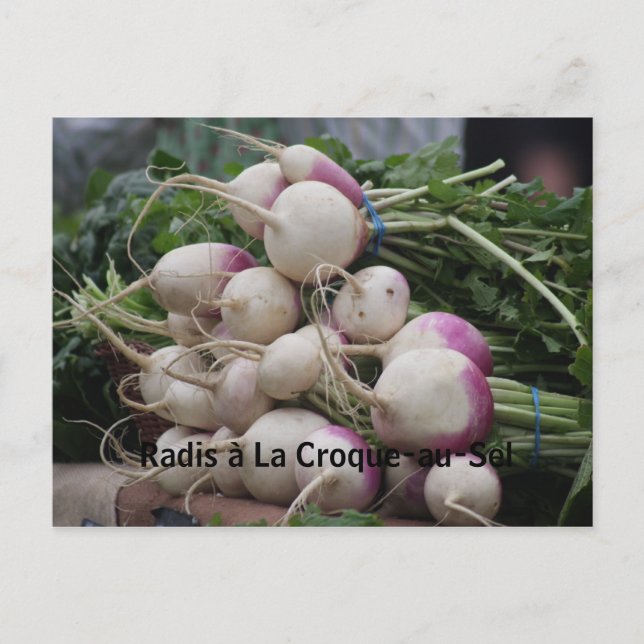 Radishes with Salt & Butter Postcard (Front)