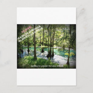RADIUM SPRINGS - Albany, Georgia Postcard