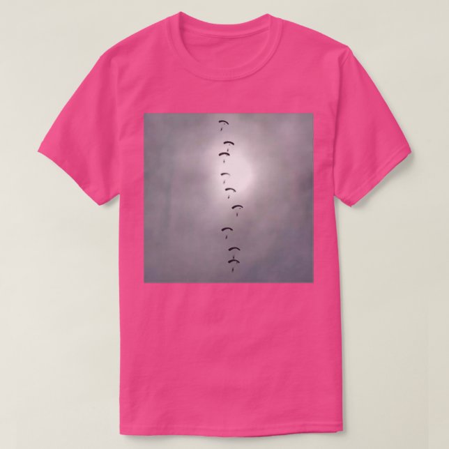 RAF Falcons Parachute Display T-Shirt (Design Front)