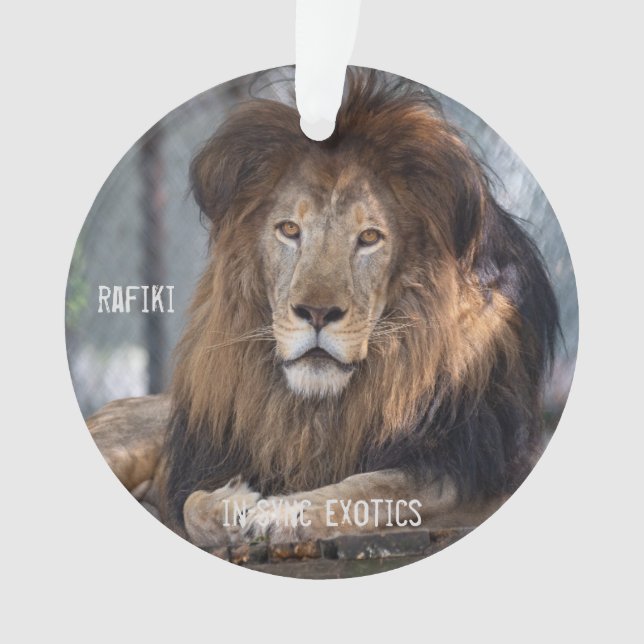 Rafiki - ornament (Front)