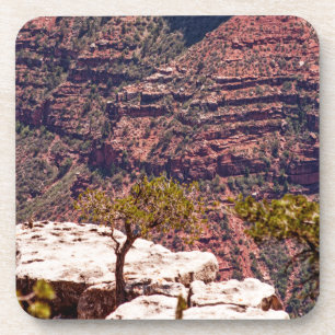 Rafinesque Watches Coaster