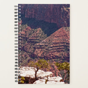 Rafinesque Watches Planner