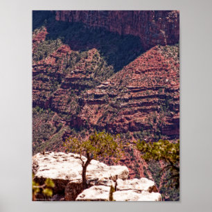 Rafinesque Watches Poster