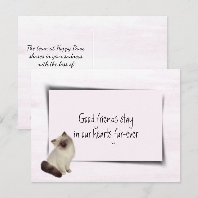 Rag Doll Cat Pet Sympathy Postcard (Front/Back)