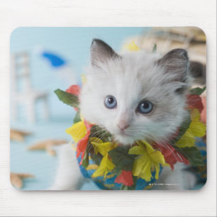 Rag Doll Kitten and Summer Vacation Mouse Pad
