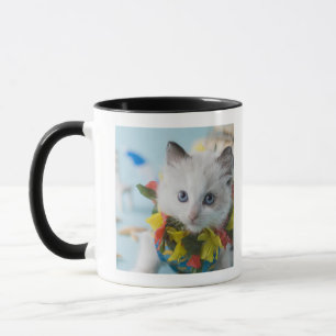 Rag Doll Kitten and Summer Vacation Mug