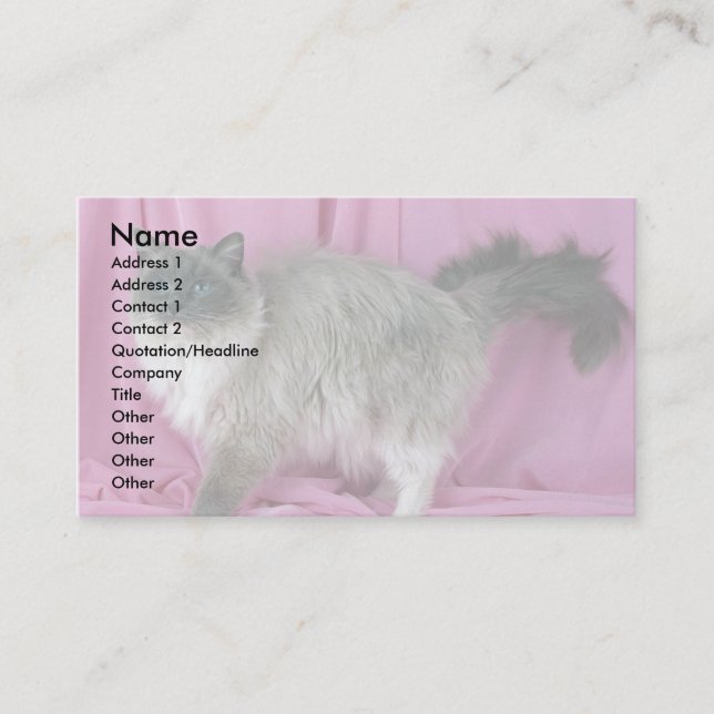 Ragdoll, blue mitted business card (Front)