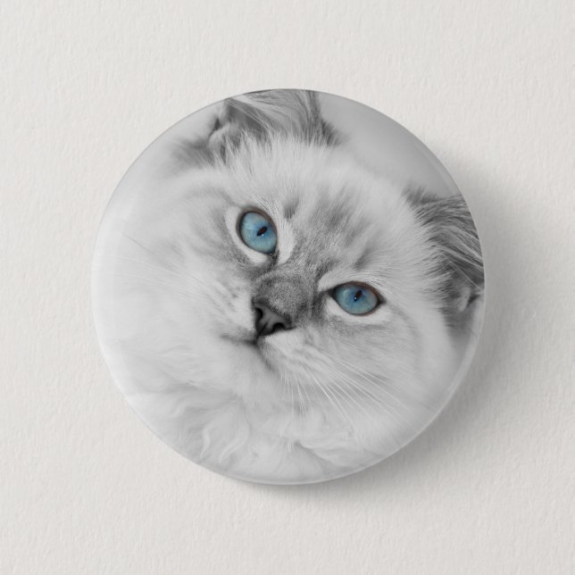 ragdoll button (Front)