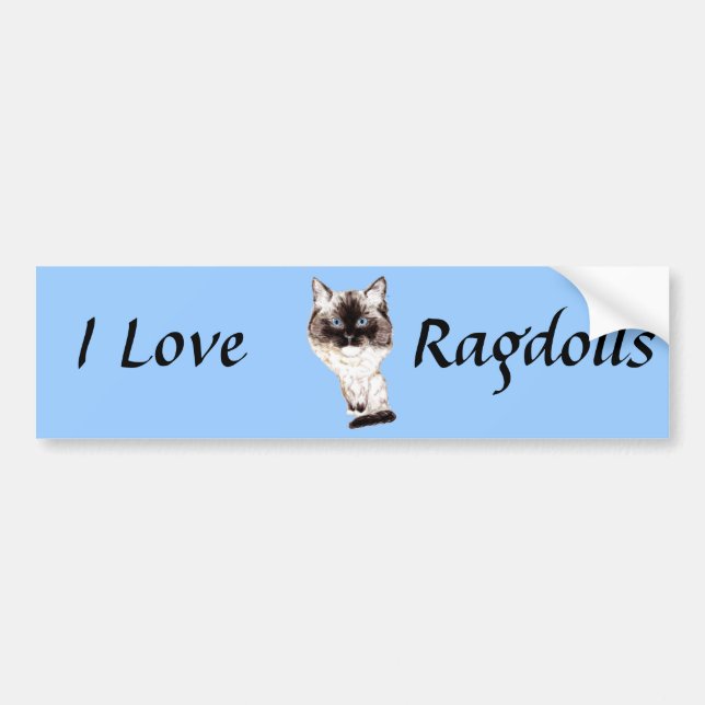 Ragdoll Caricature Bumper Sticker (Front)