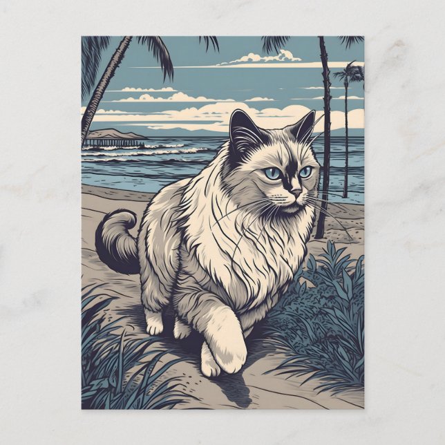 Ragdoll-Cat at a tropical beach during sunset Postcard (Front)