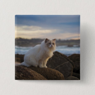 Ragdoll Cat At The Beach 15 Cm Square Badge