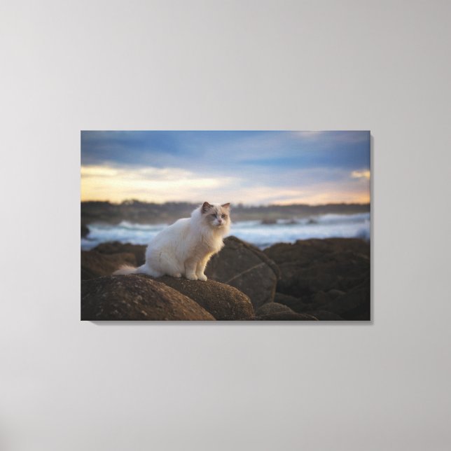 Ragdoll Cat At The Beach Canvas Print (Front)