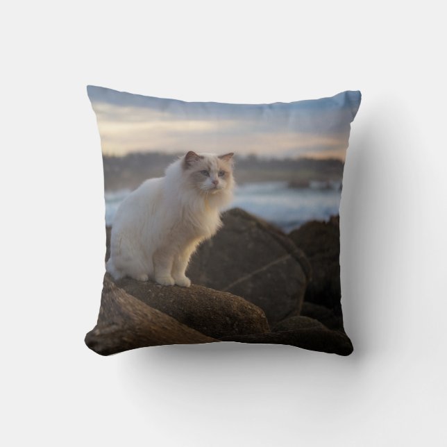 Ragdoll Cat At The Beach Cushion (Front)