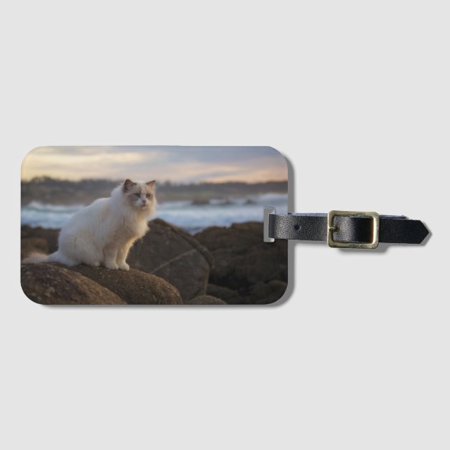 Ragdoll Cat At The Beach Luggage Tag (Front Horizontal)