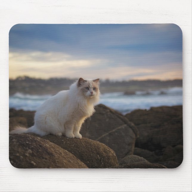 Ragdoll Cat At The Beach Mouse Pad (Front)