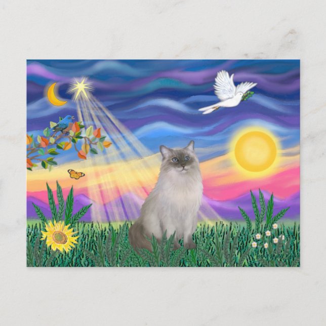 Ragdoll Cat (Blue Point) Postcard (Front)