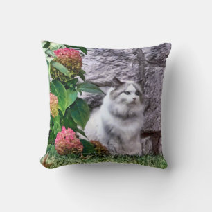 Ragdoll Cat By Hydrangea Cushion