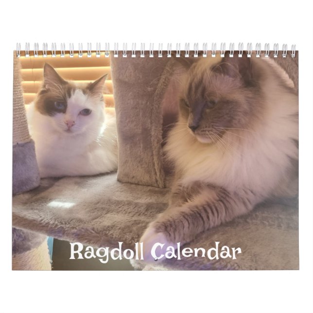 Ragdoll Cat Calendar (Cover)