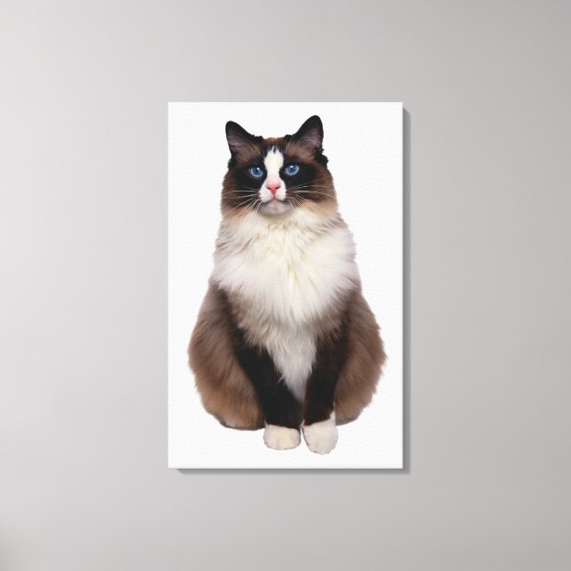 Ragdoll Cat Canvas Print (Front)