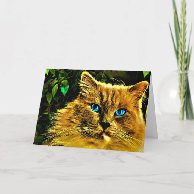 Ragdoll Cat, card (Front)