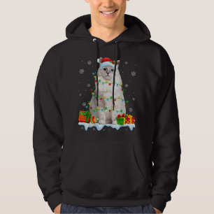 Ragdoll Cat Christmas Lights Funny Cat Lover Xmas Hoodie