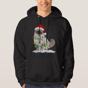 Ragdoll Cat Christmas Lights Xmas Cat Lover Hoodie