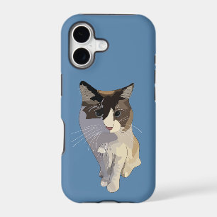 Ragdoll cat, Dusty Blue