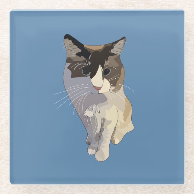 Ragdoll cat, Dusty Blue Glass Coaster (Front)
