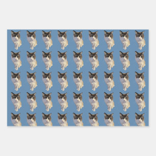 Ragdoll cat, Dusty Blue Wrapping Paper Sheet