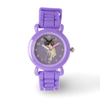 Ragdoll cat, Dusty Purple