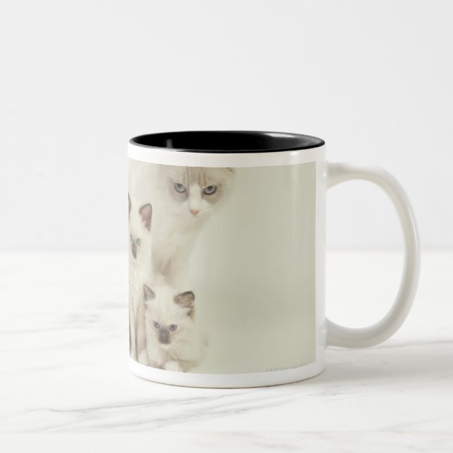 Ragdoll cat female with kittens Two-Tone coffee mug (Right)