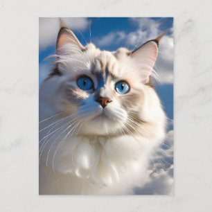 Ragdoll Cat Gogh Postcard