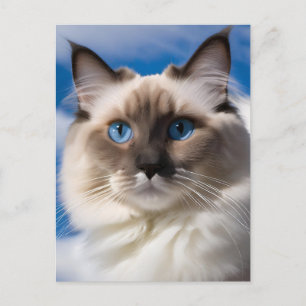 Ragdoll Cat Gogh Postcard
