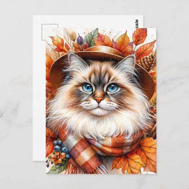 Ragdoll Cat In Autumn Scarf With Fall Leaves Postcard (Front/Back)