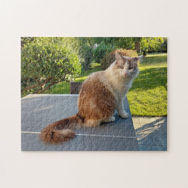 ragdoll cat jigsaw puzzle (Horizontal)