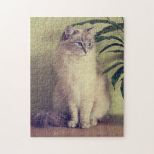 Ragdoll Cat Jigsaw Puzzle