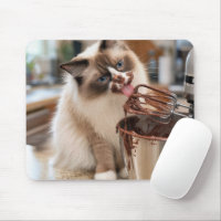 Ragdoll Cat Licking Mixer Beater