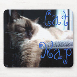 Ragdoll Cat Napping Mouse Pad