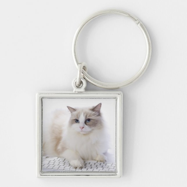 Ragdoll Cat on Keyboard Key Ring (Front)