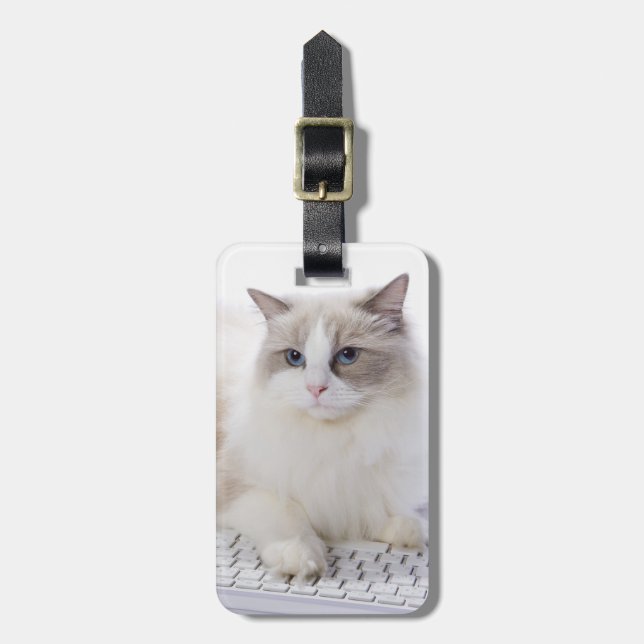 Ragdoll Cat on Keyboard Luggage Tag (Front Vertical)