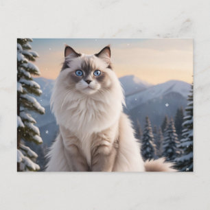 Ragdoll Cat on Snowy Mountain with Serene Winter Postcard