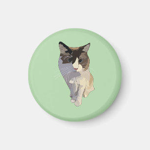 Ragdoll cat, pastel green, stained glass magnet