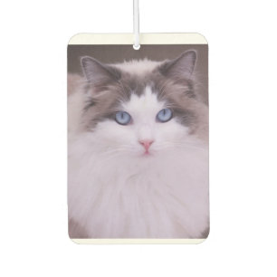 Ragdoll Cat Personalised Photo Air Freshener